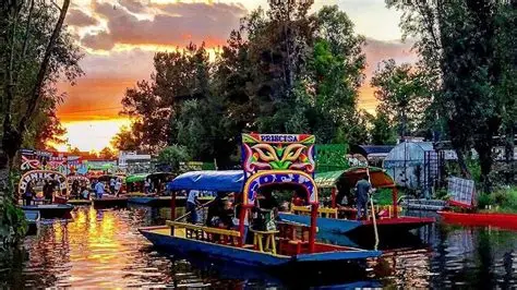 Colorful trajineras traveling through the canals of Xochimilco, part of the UNESCO World Heritage Site and the last surviving natural habitat of the wild Mexican axolotl.